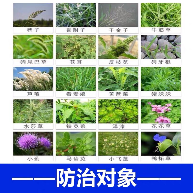 10斤七洲20%草铵膦杂草牛筋草果园公园除草剂