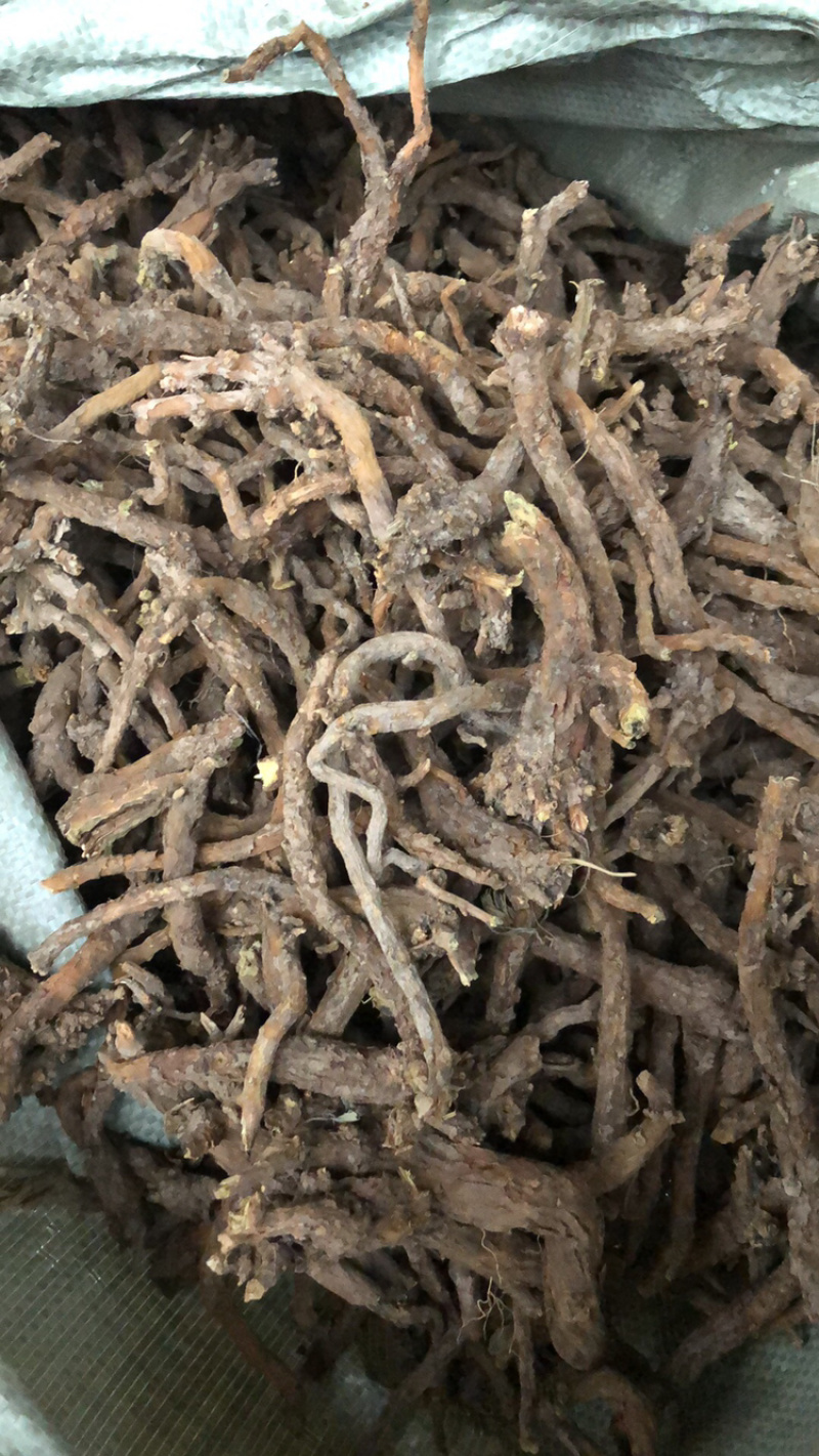 切片货，选大条黄芩，空心黄芩，优质货，非常好的黄芩