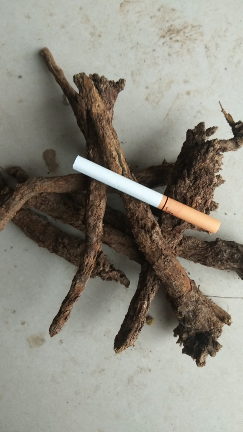 切片货，选大条黄芩，空心黄芩，优质货，非常好的黄芩