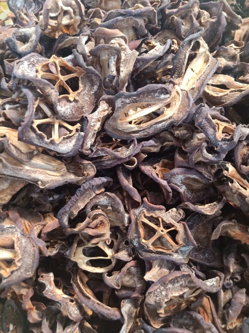云南特产普洱酸木瓜片_陈木瓜片（一年以上）_散装自然晒干