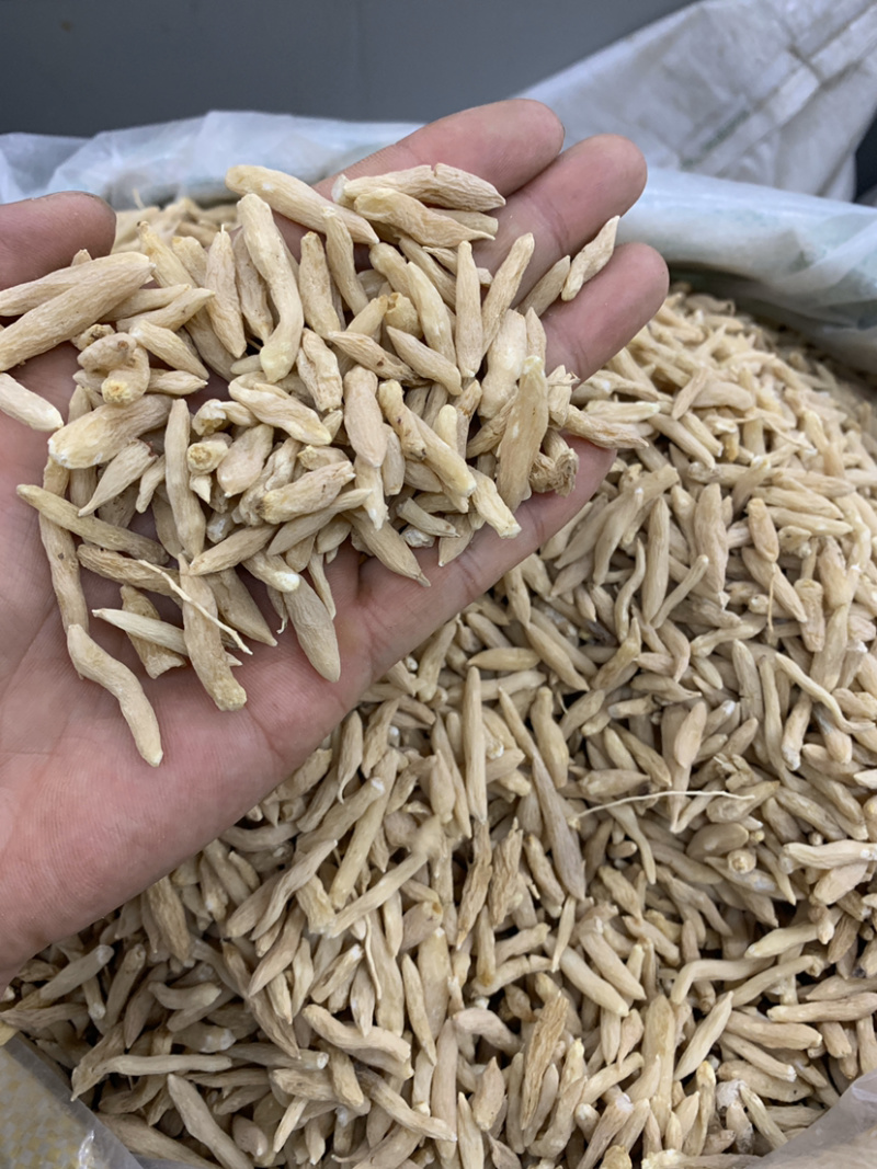 麦冬无硫磺熏蒸一公斤起批
