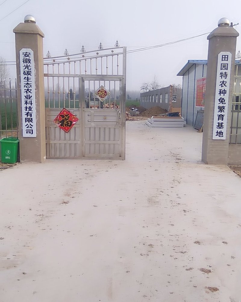 常年出售成品和幼崽，母兔伊拉兔