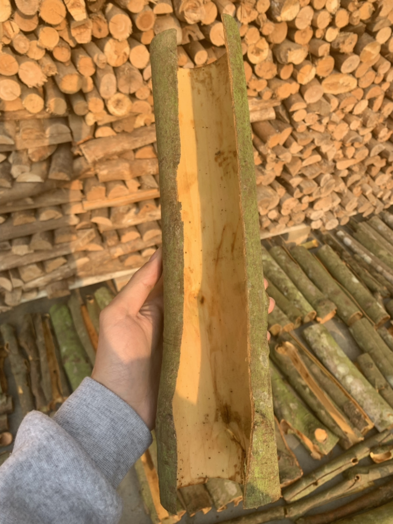 肉桂皮广西肉桂广西平南特产桂皮香料调味品