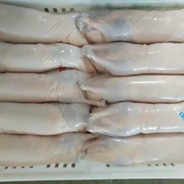 白条鸭，大小规格齐全，大厂质量有保证，欢迎选购