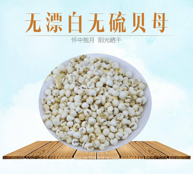 川贝母松贝青贝炉贝批发零售量大从优
