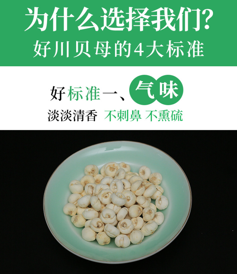 川贝母松贝青贝炉贝批发零售量大从优