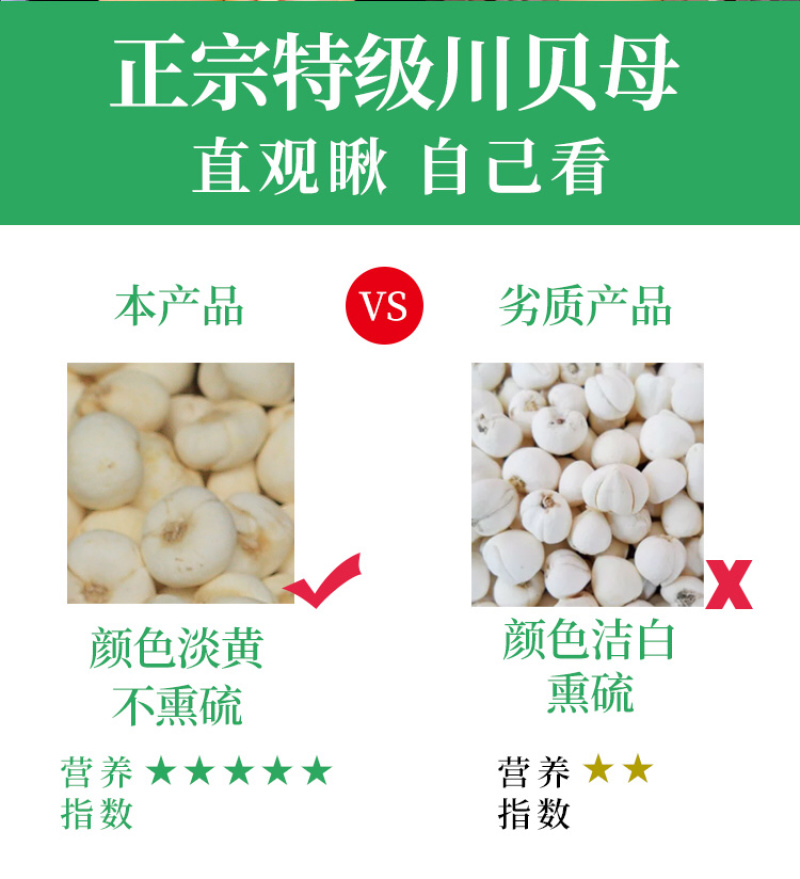 川贝母松贝青贝炉贝批发零售量大从优