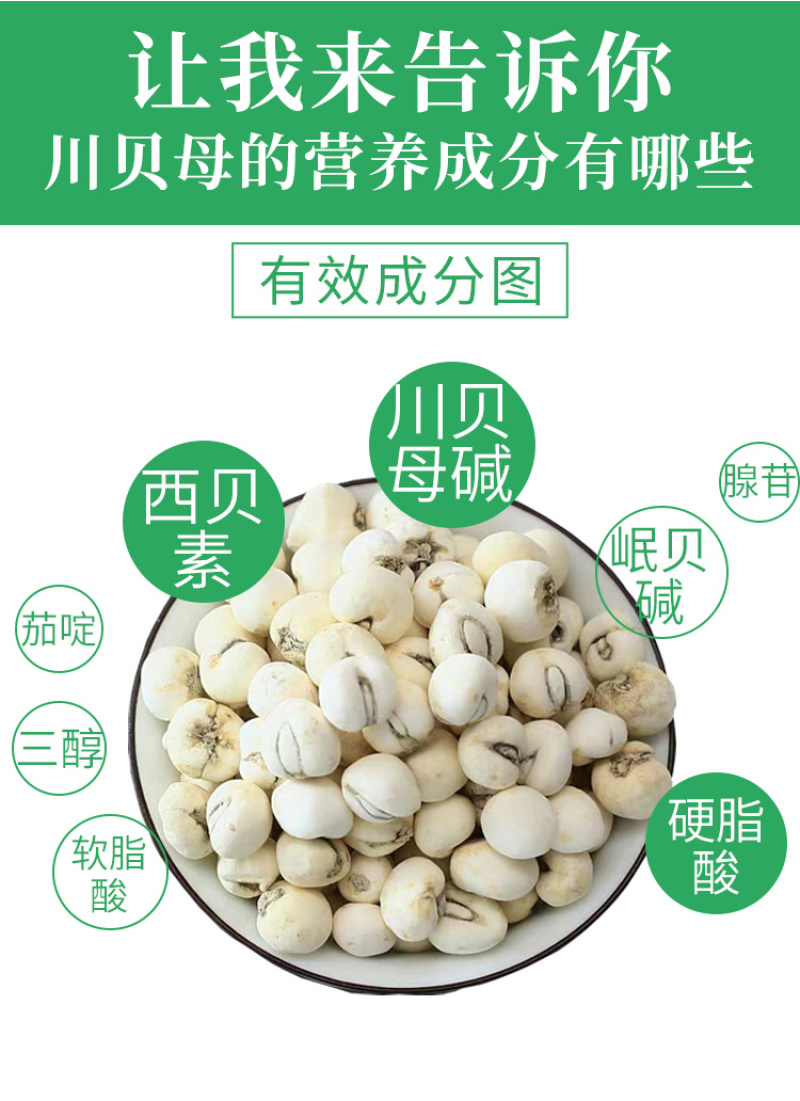 川贝母松贝青贝炉贝批发零售量大从优