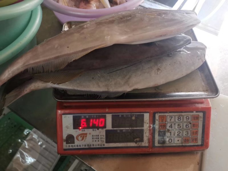 剥皮鱼马鲛鱼