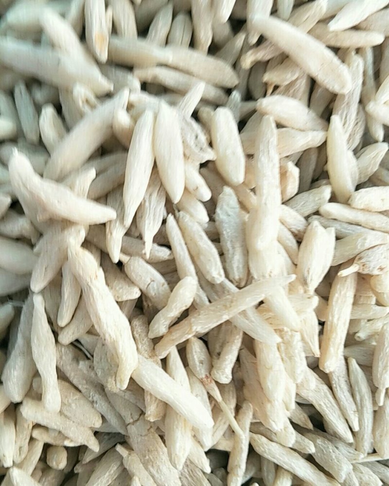 麦冬，常年批发供应各种规格产地，麦冬，川麦冬，山东麦冬