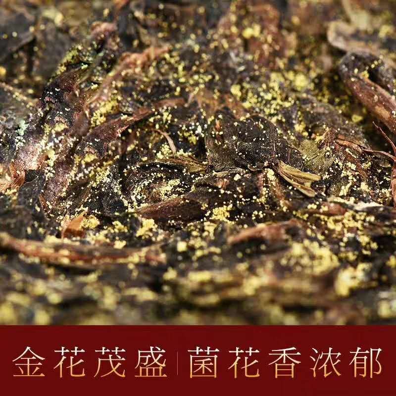 湖南安化黑茶