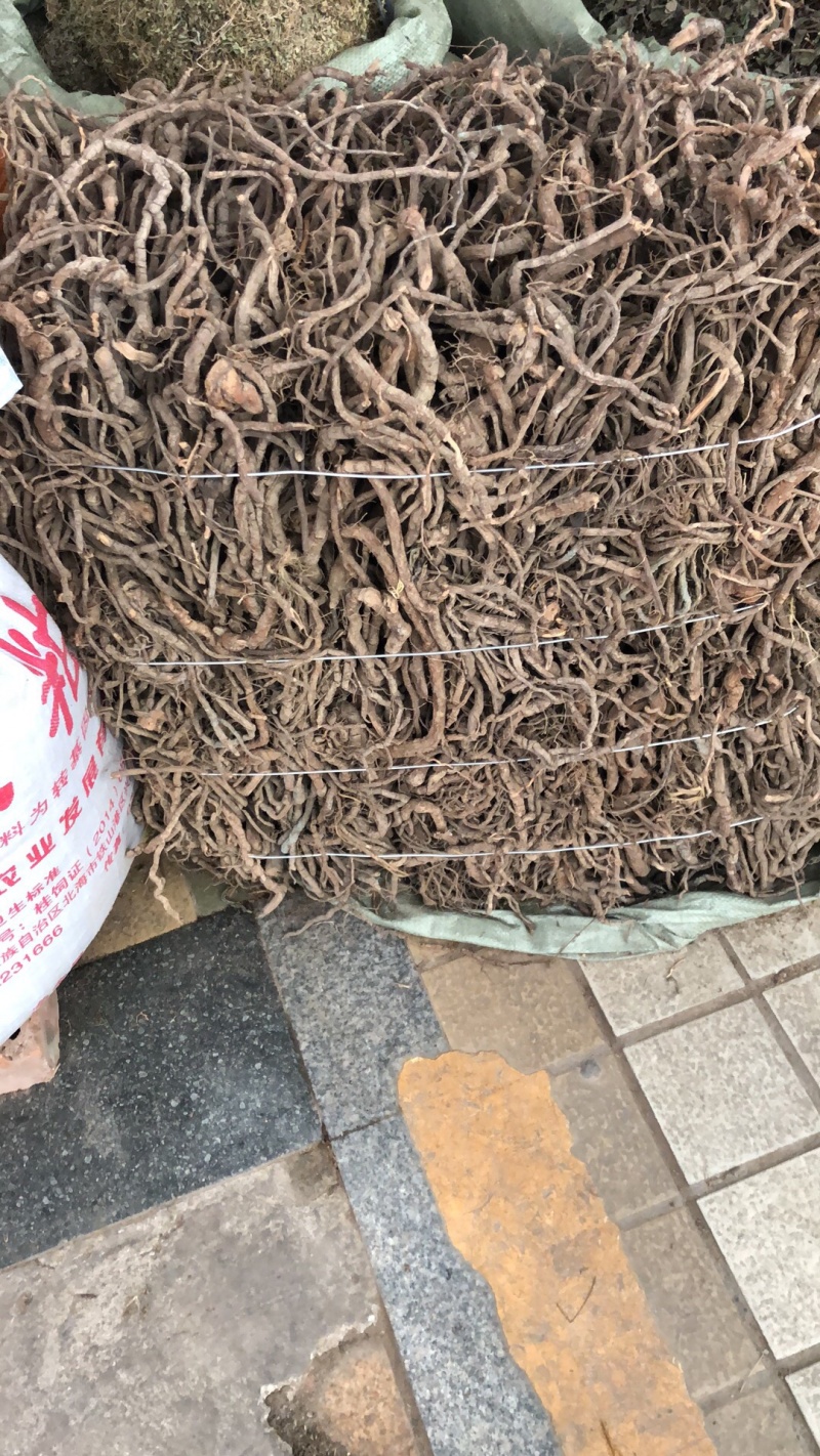 中药材今年广西新货黑老虎根纯根部