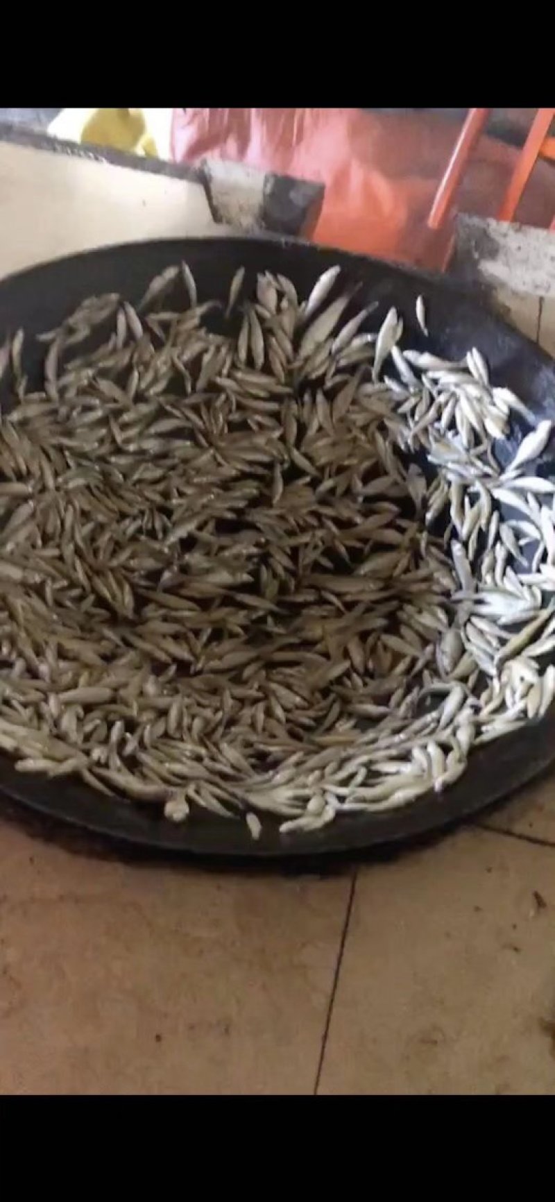 纯手工火焙鱼