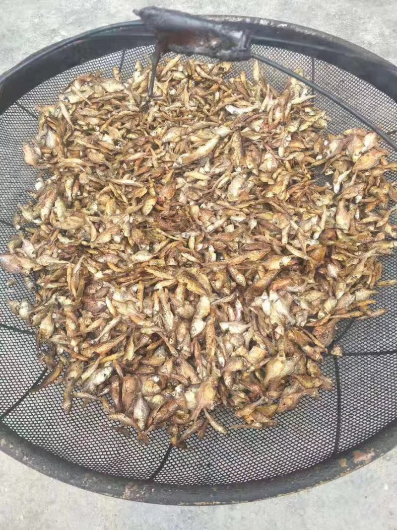 纯手工火焙鱼