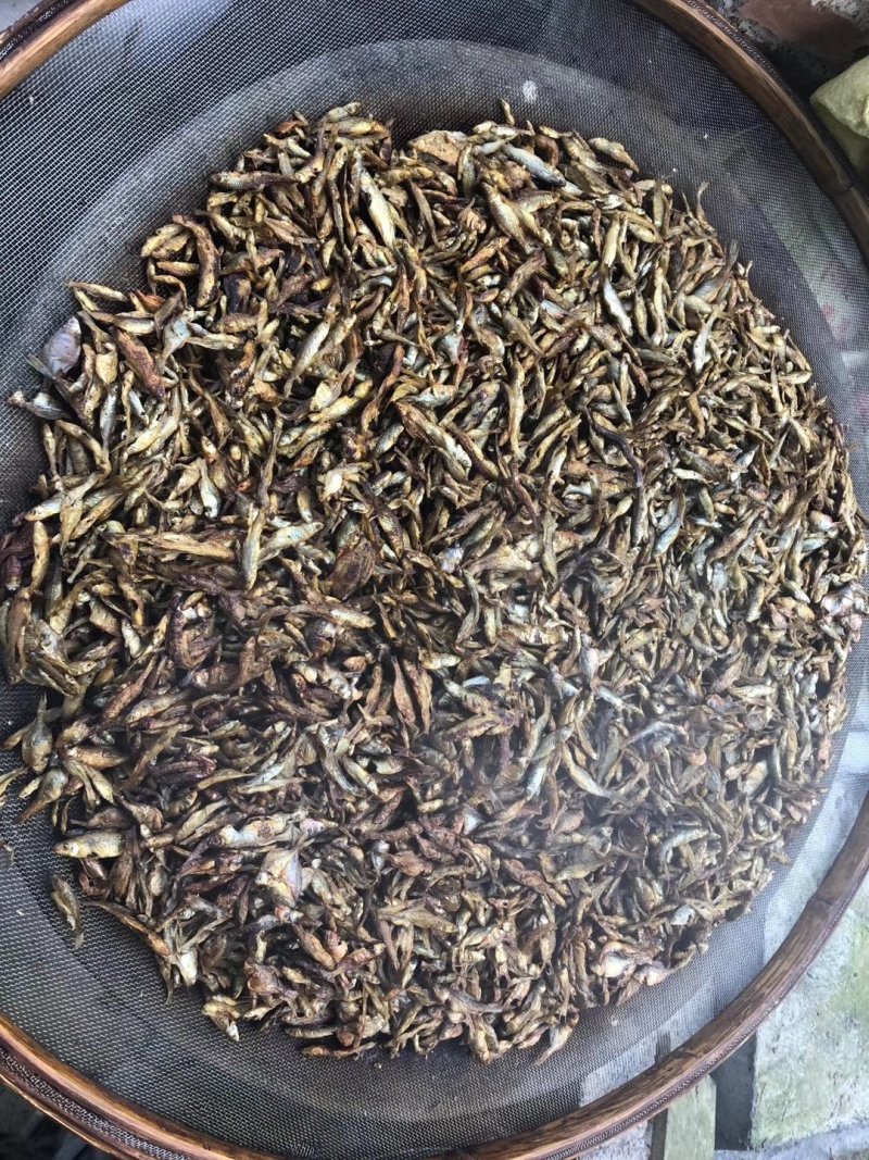 纯手工火焙鱼