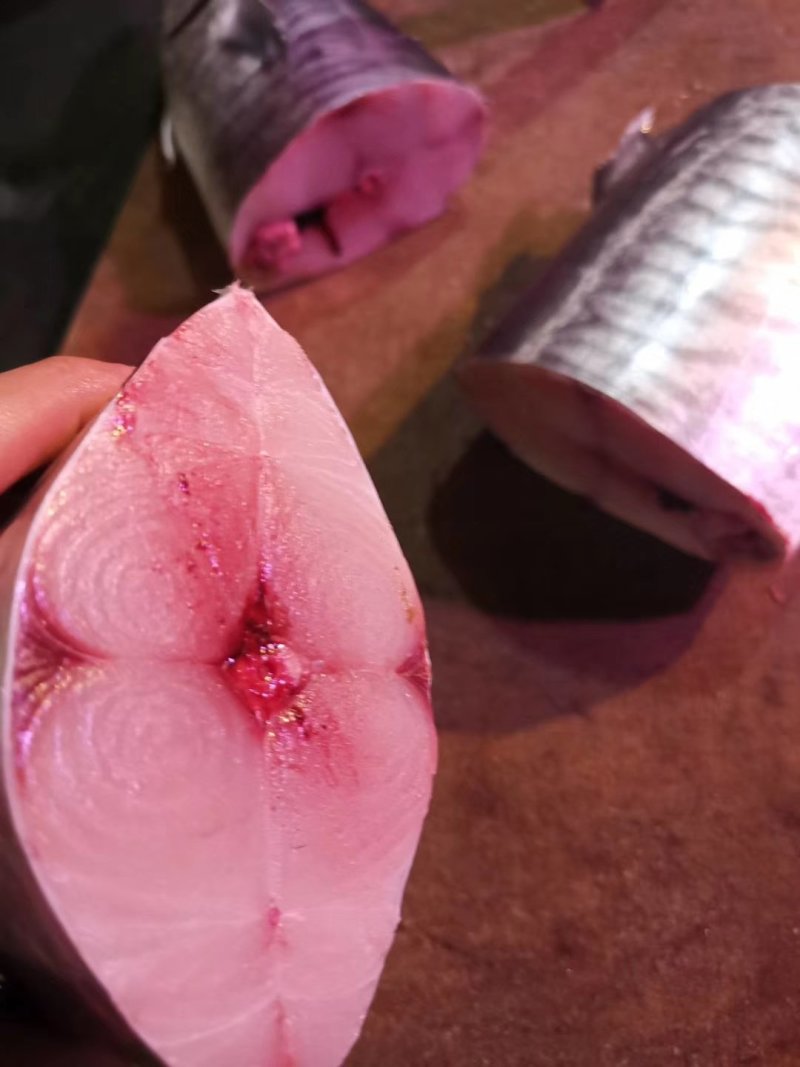马鲛鱼