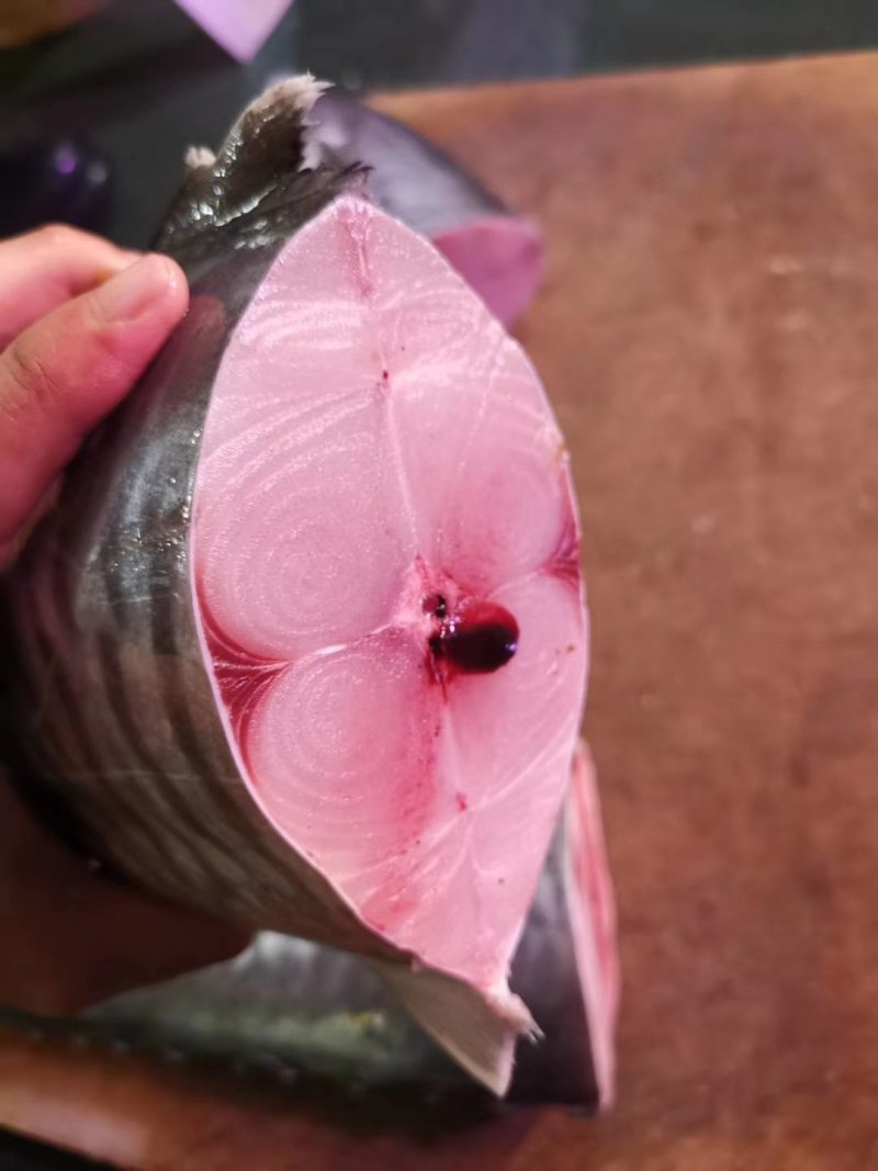 马鲛鱼