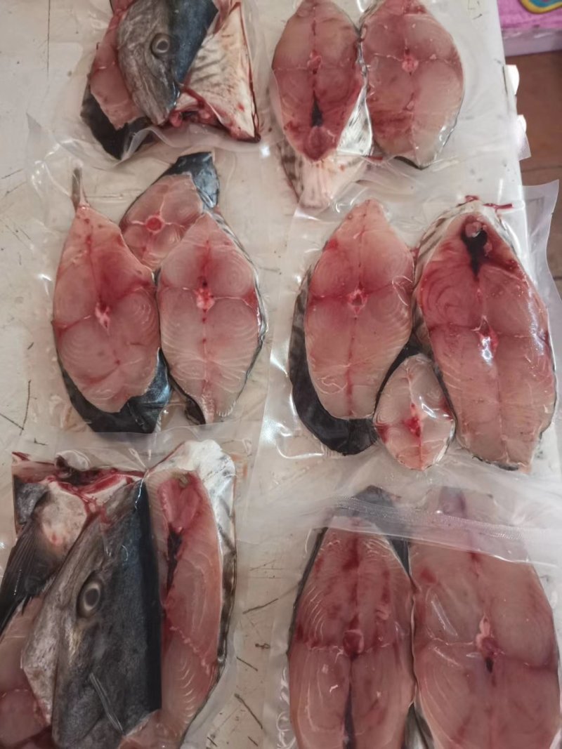 马鲛鱼