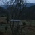 国旗红映山红杜鹃，截杆，全冠，生熟货都有