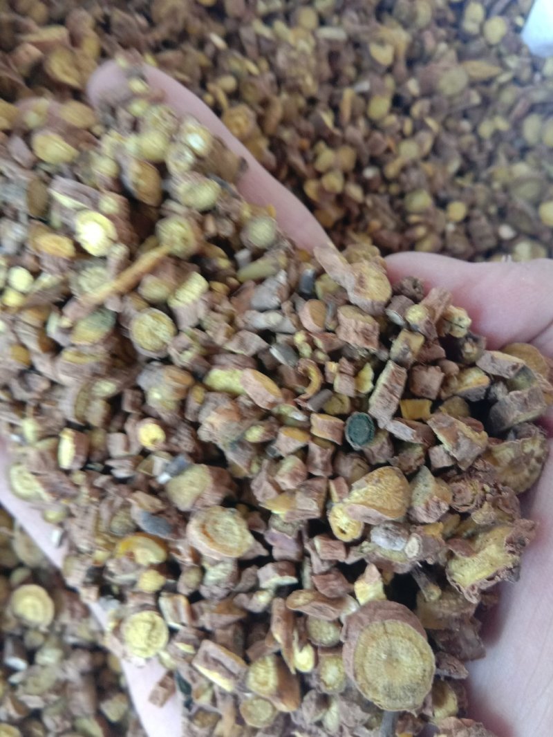 批发中药材无琉黄芩各种规格产地直销