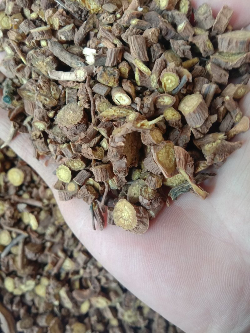 批发中药材无琉黄芩各种规格产地直销