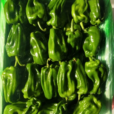 麻辣椒