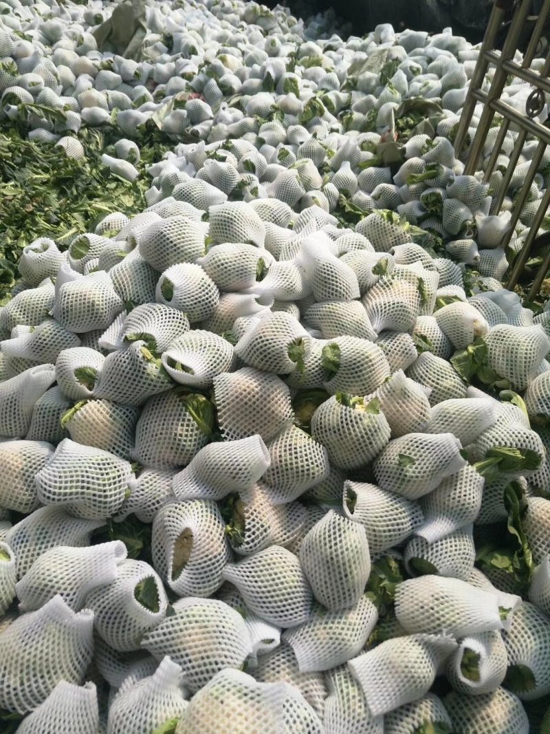 精品有机花产地，大量现货，价格便宜，超市，