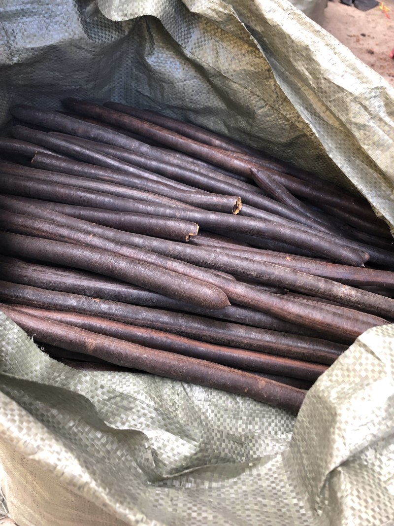 新货，无虫便秘果，腊肠果，便秘果一手货源，油脂好，包邮
