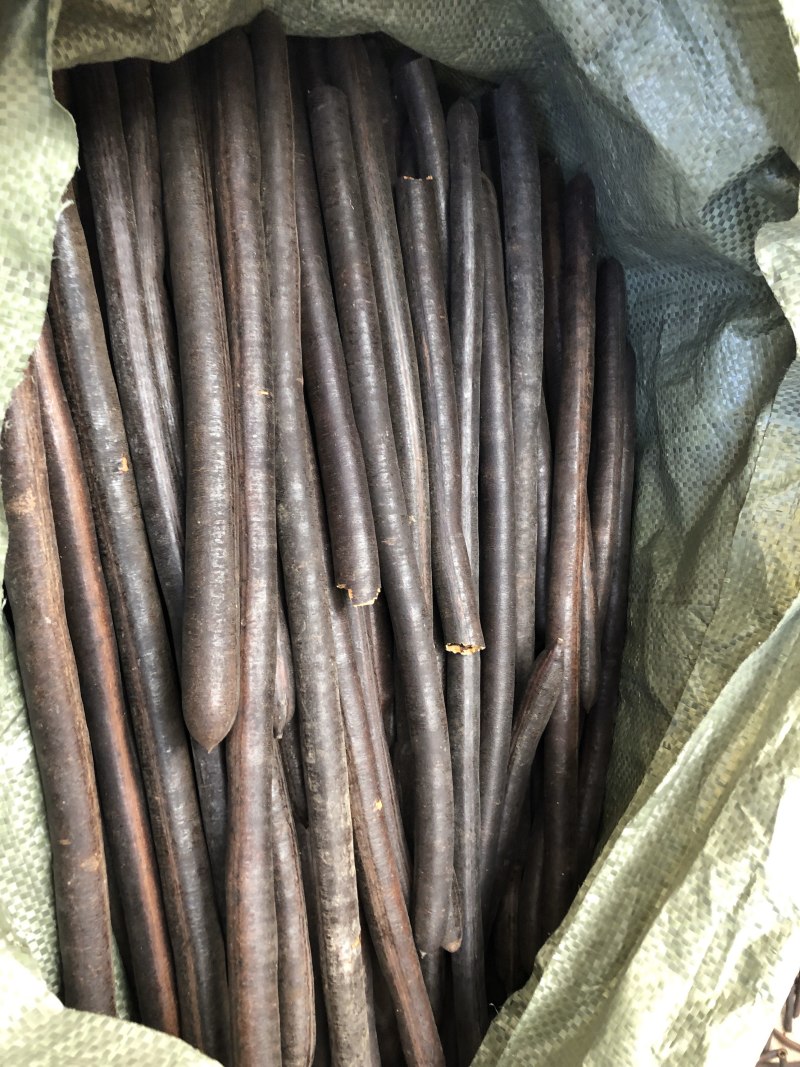新货，无虫便秘果，腊肠果，便秘果一手货源，油脂好，包邮