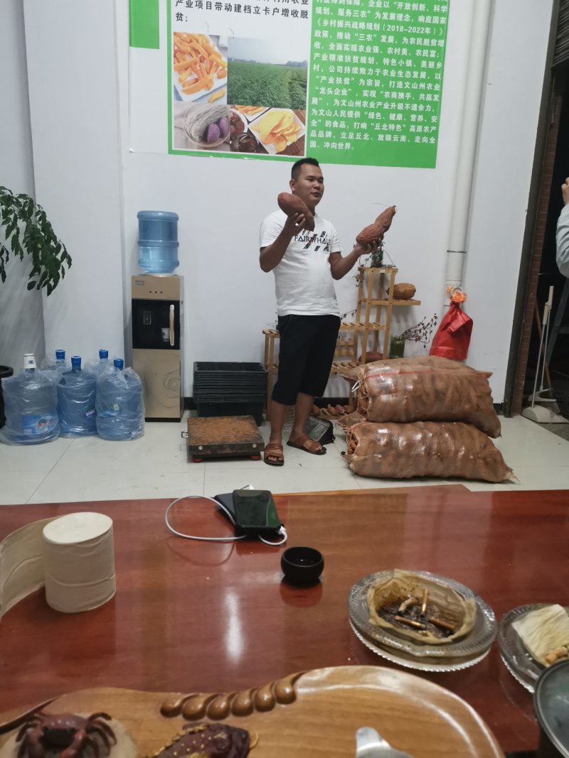 红薯苗