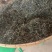 云南普洱茶叶自种生态无量山茶叶基地500g