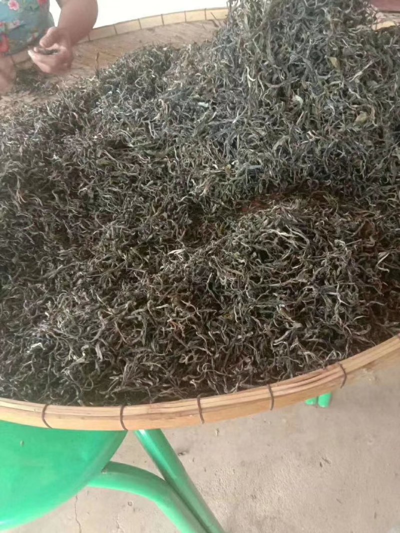 云南普洱茶叶自种生态无量山茶叶基地500g