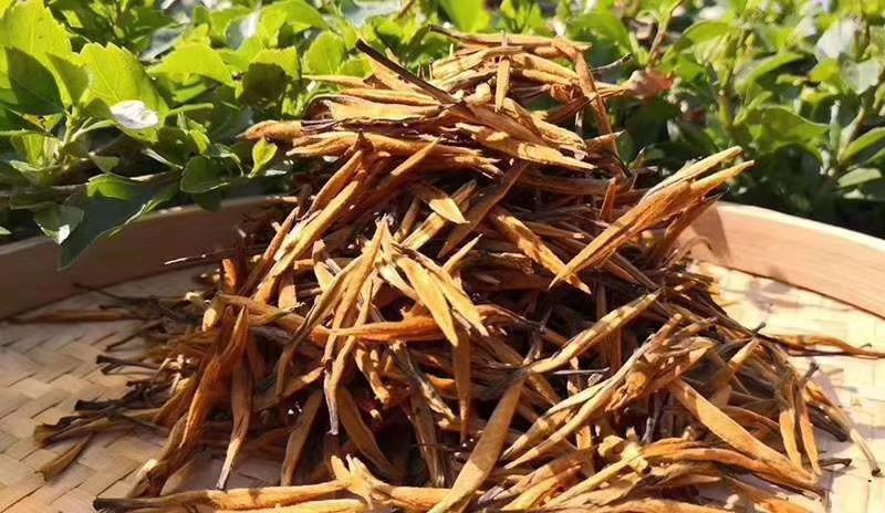 云南普洱茶叶自种生态无量山茶叶基地500g