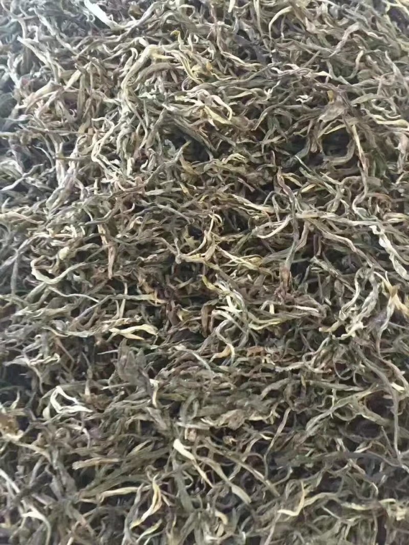 云南普洱茶叶自种生态无量山茶叶基地500g