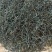 云南普洱茶叶自种生态无量山茶叶基地500g