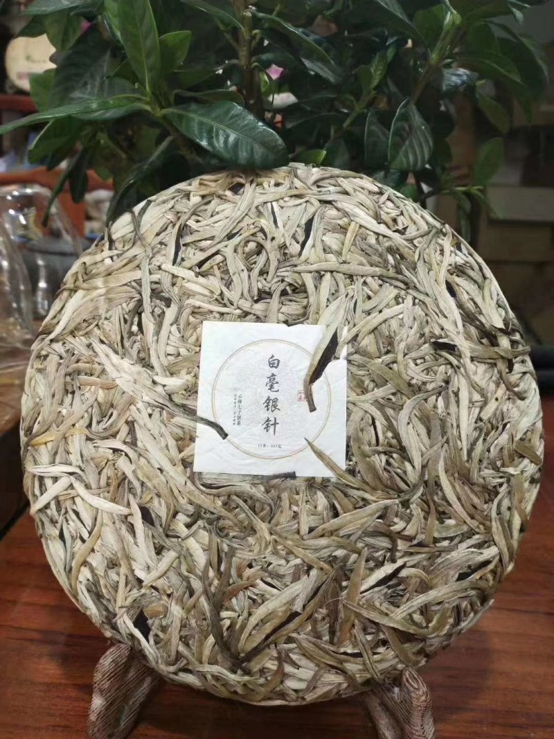 云南普洱茶叶自种生态无量山茶叶基地500g
