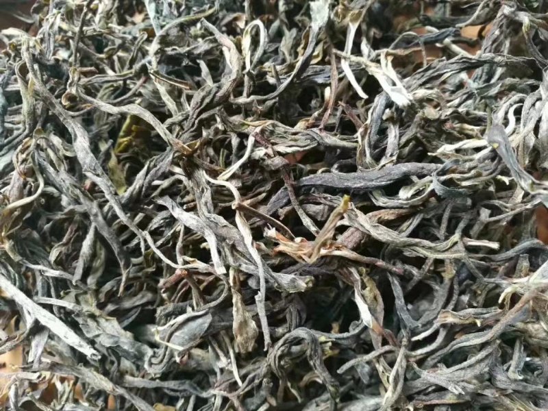 云南普洱茶叶自种生态无量山茶叶基地500g