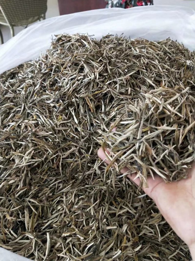 云南普洱茶叶自种生态无量山茶叶基地500g