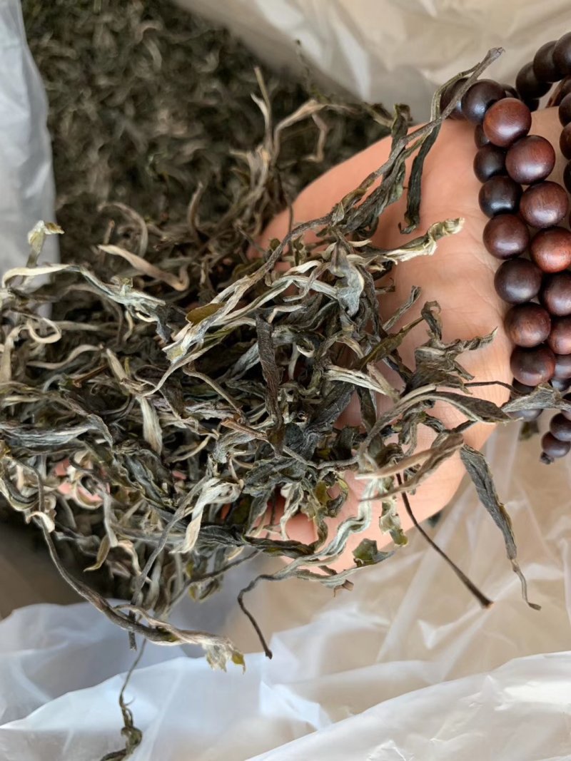 云南普洱茶叶自种生态无量山茶叶基地500g