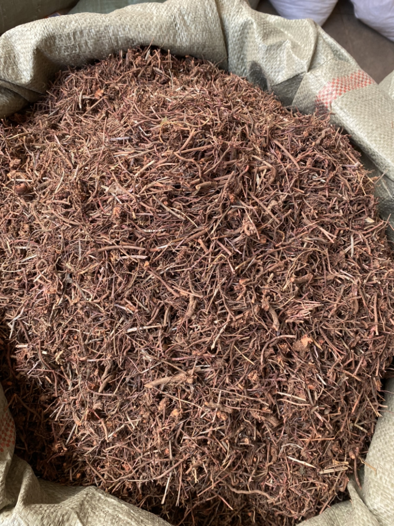 茜草，陕西茜草，产地直销