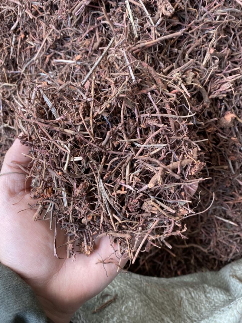 茜草，陕西茜草，产地直销