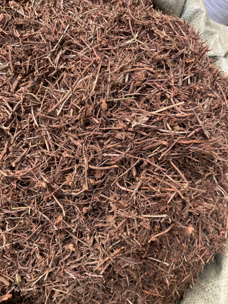 茜草，陕西茜草，产地直销