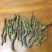 《爆胶》铁皮石斛短粗芽尖干条石斛中的精品