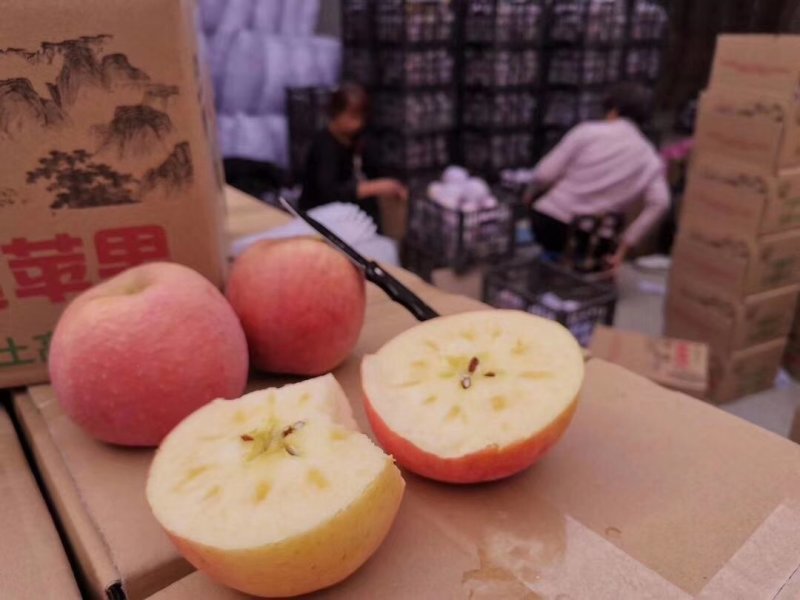 陕西‌红富‌士糖心苹果9‌斤18个35元