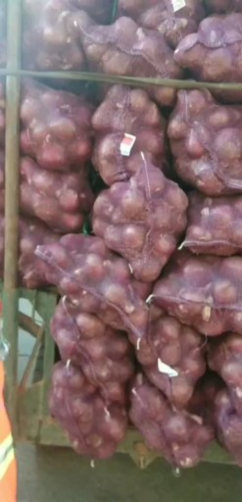 洋葱，红皮，黄皮，，，，，，，，，，，，，
