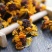 精选昆仑山雪菊花朵饱满洁净无杂质口感顺滑清香甘甜