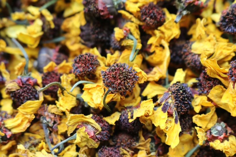 精选昆仑山雪菊花朵饱满洁净无杂质口感顺滑清香甘甜