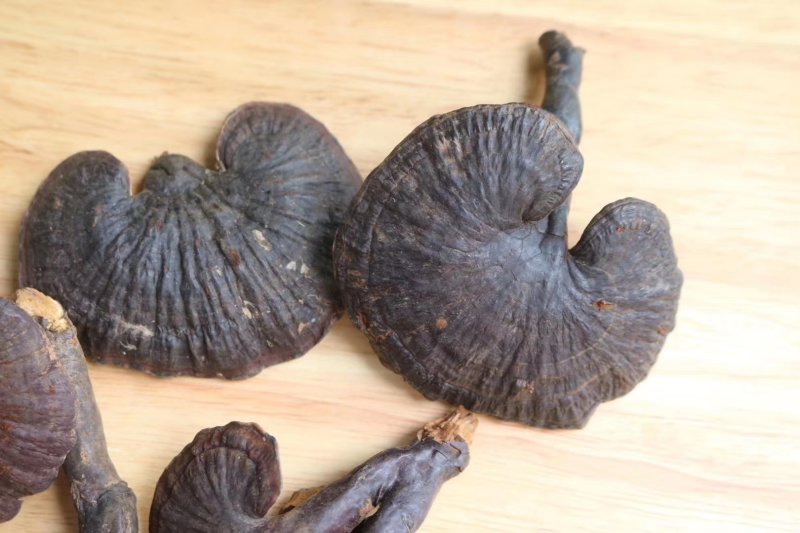 精选云南野生紫灵芝香味非常浓短柄天然生成无熏硫