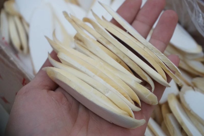 精选淮山特级山药片无熏硫有山药清香味