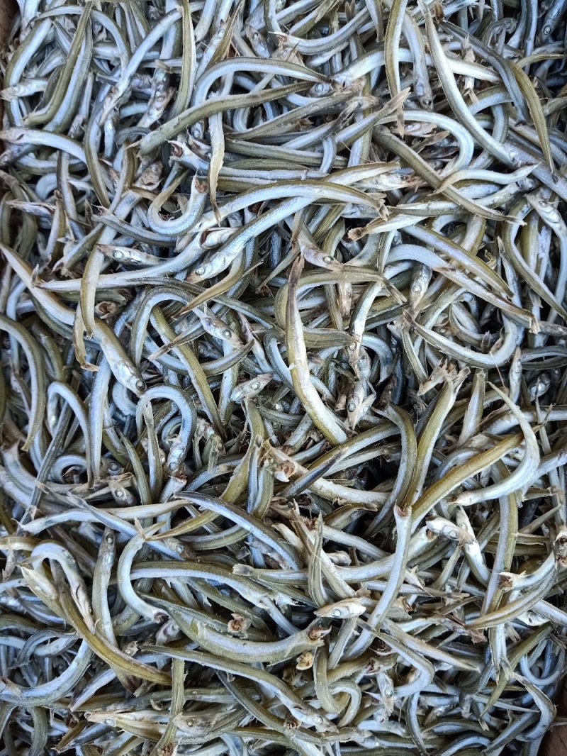 牙签鱼，面条鱼，银针鱼，青鱼干9斤净